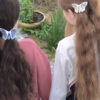 גומיות לשיער לילדות, קישוטי שיער מעוצבים, מתנות ליום הולדת, גומיות פרפרי אוריגמי בד כותנה פרחוניים, כחול וצהוב פרחוני, קוקיות לשיער, מורן אלחלל אוריגמי בד